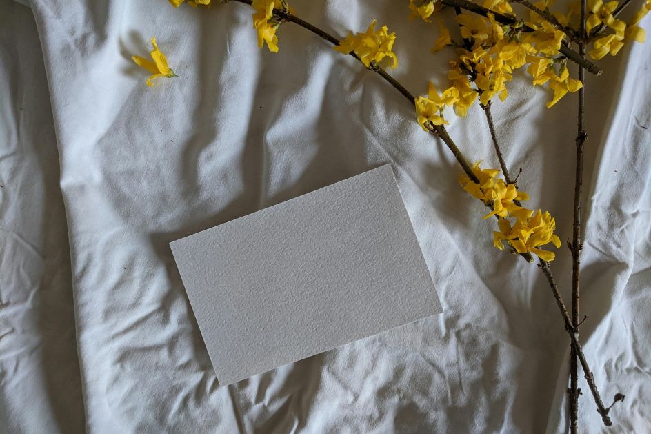 Transfert et rapatriement